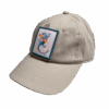 Gecko Watercolor - Stone Twill Hat